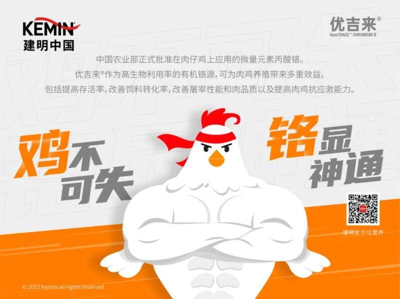 中国白鸡30强公布，仅5家出栏超2亿【建明中国特约 | 数说禽事】