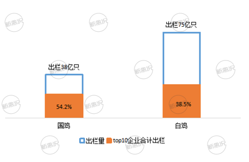 中国白鸡30强公布，仅5家出栏超2亿【建明中国特约 | 数说禽事】