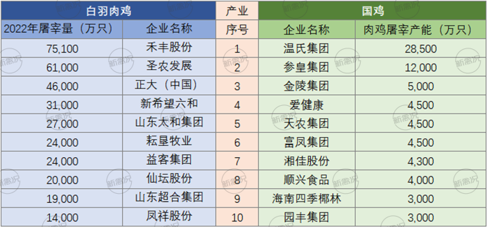 中国白鸡30强公布，仅5家出栏超2亿【建明中国特约 | 数说禽事】