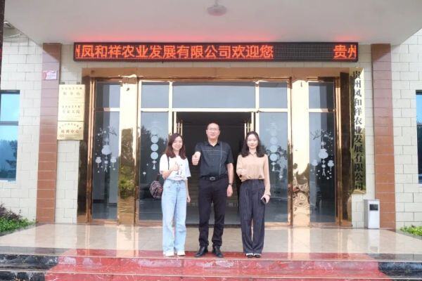 6家养鸡龙头斥资1.21亿元联合打造“贵州蛋鸡标杆”！凤和祥现有存栏上百万【遇见好蛋】