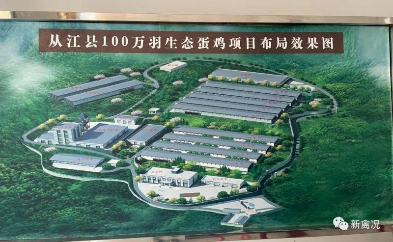 6家养鸡龙头斥资1.21亿元联合打造“贵州蛋鸡标杆”！凤和祥现有存栏上百万【遇见好蛋】