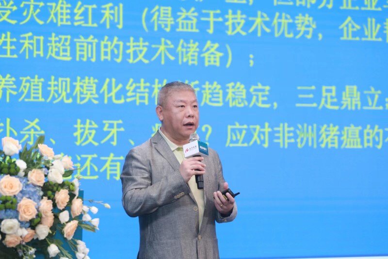 净化容易保持难,金宇建议猪场蓝耳病净化切勿跟风,先满足这几个条件