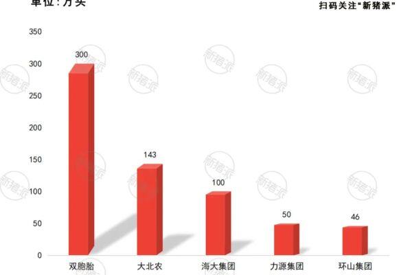 双胞胎500万，海大150万，力源60万，三巨头计划采购猪苗710万头，仔猪市场巨头博弈战【大北农特约·数说猪业】