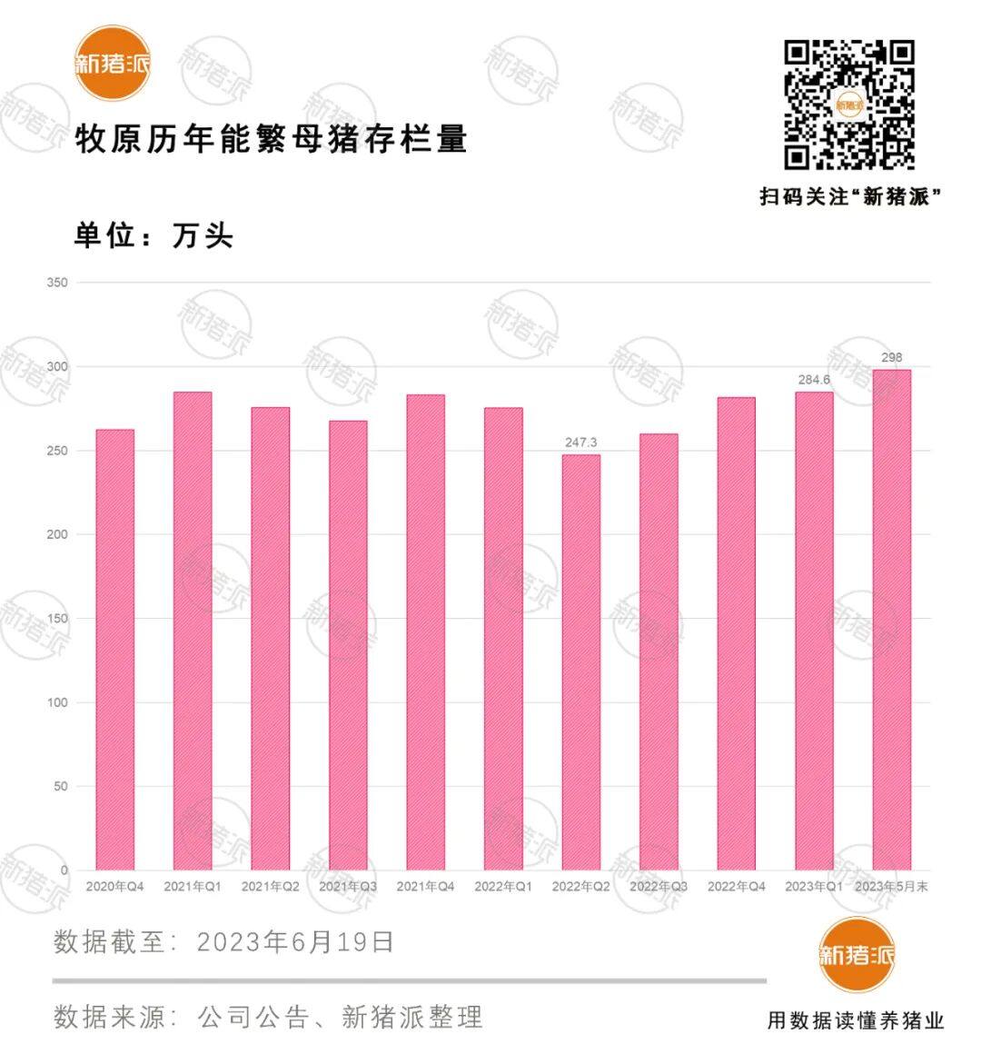 完全成本降至14.9元/kg，牧原能繁母猪存栏298万头，创两年内新高【勃林格特约·猪业视野】