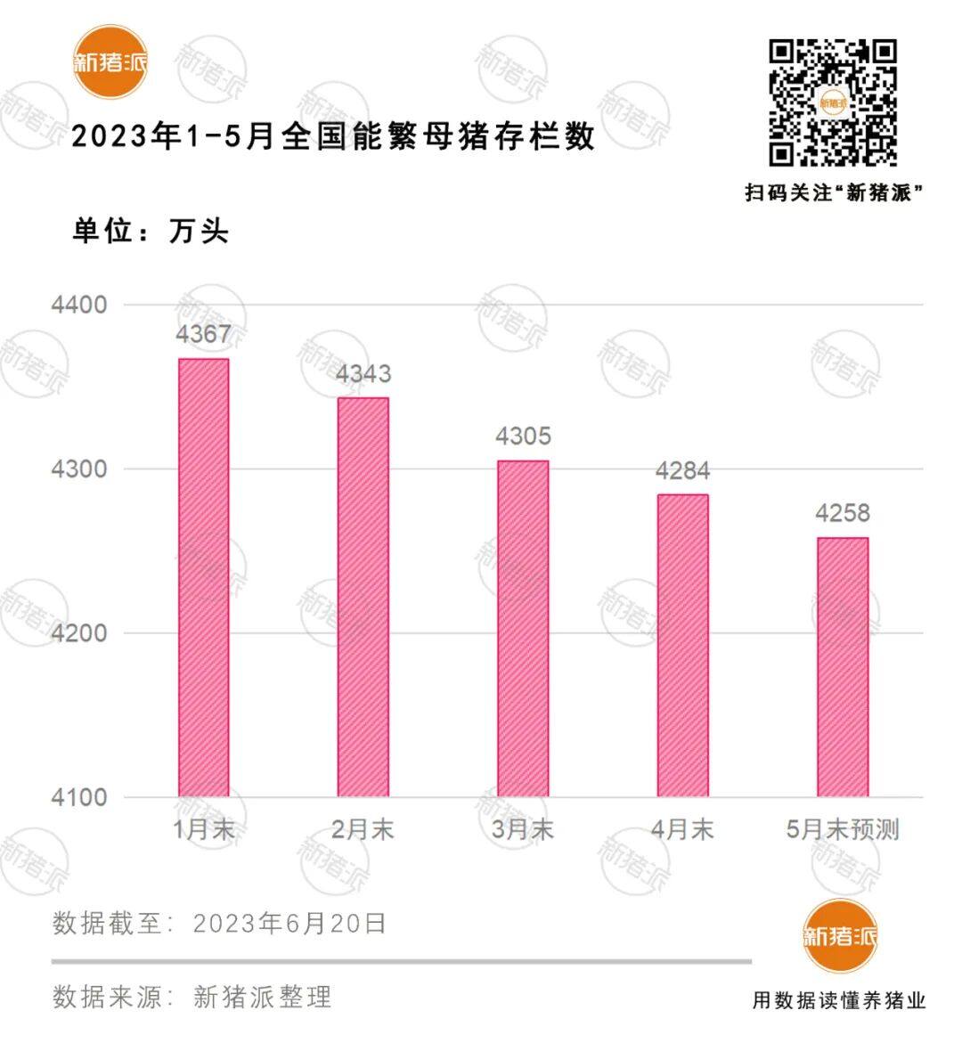 牧原母豬298萬頭、溫氏超145萬、新希望85萬…母豬增量，你敢和巨頭賭行情嗎？