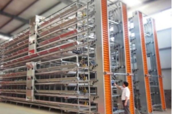 农业农村部发布蛋鸡立体养殖技术指导意见