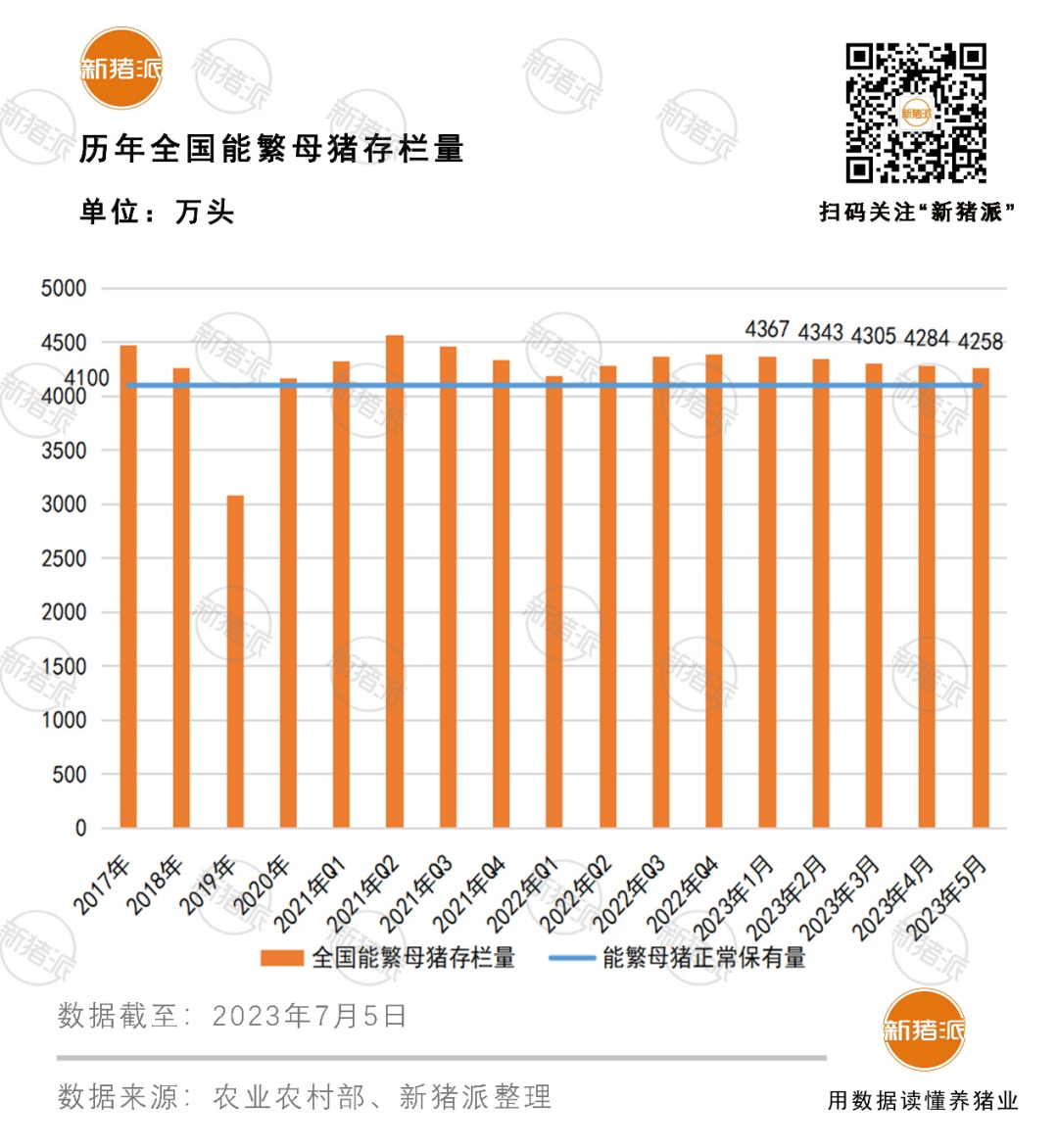 备好钱！5月末能繁母猪4258万头，明年上半年更加危险？