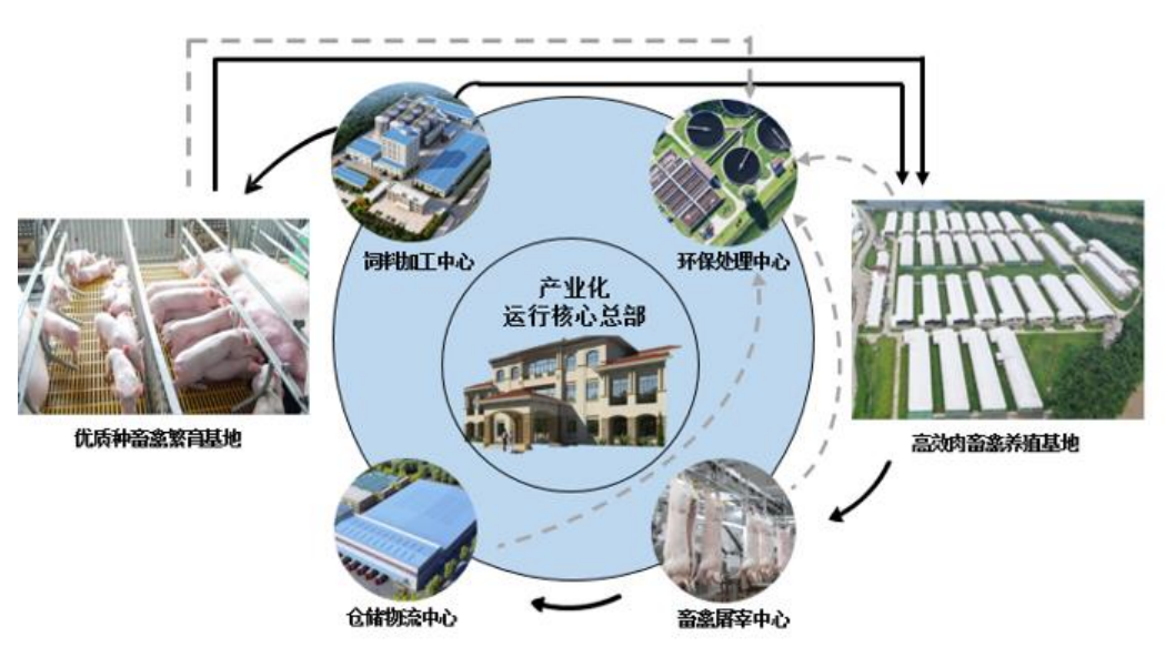 奔向8元成本！调结构、强管理、升模式温氏三管齐下协同降本