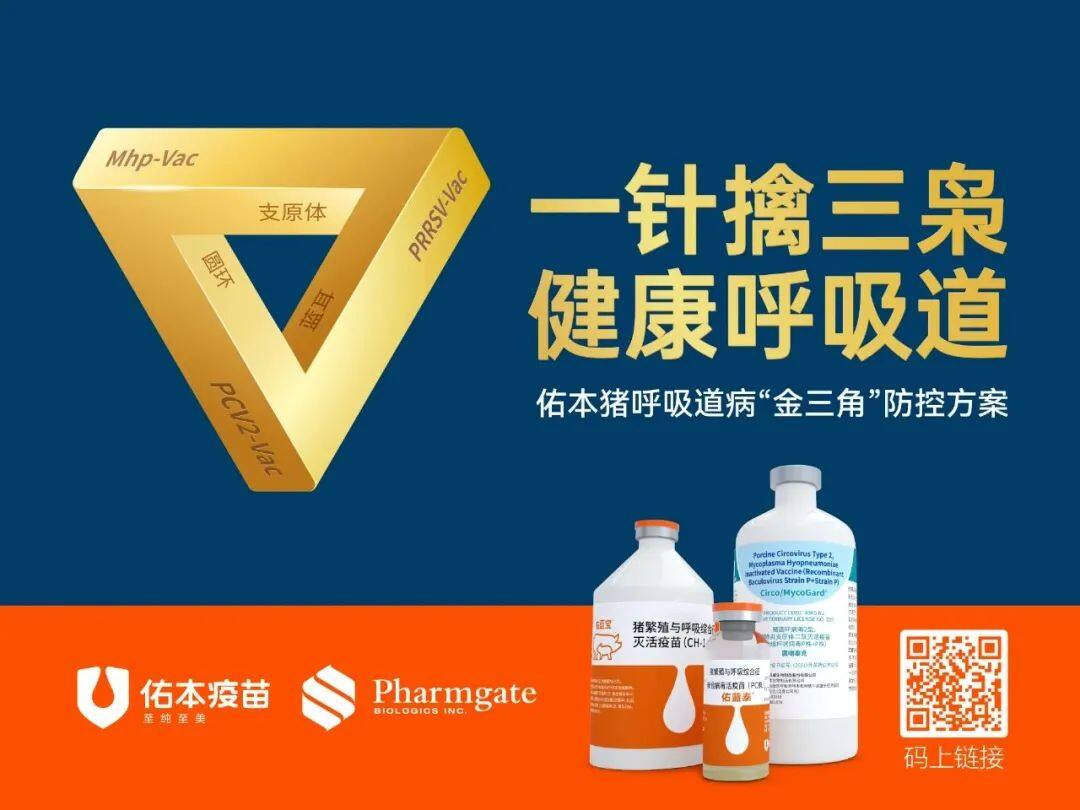 17家上市猪企上半年或亏损超140亿；傲农引入国企战投，拟3.91亿转让5%股份【正典特约·巨头周事】