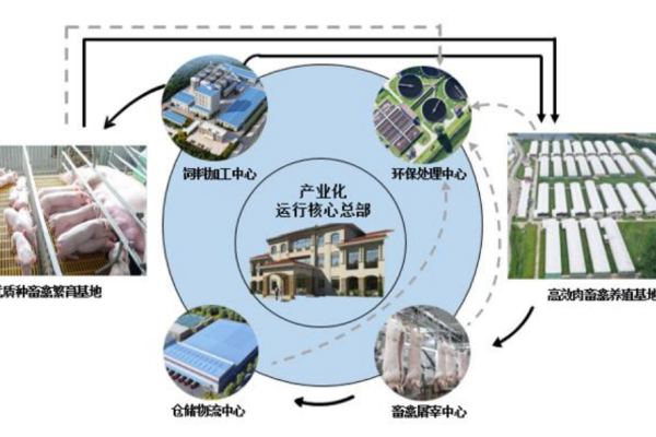 奔向8元成本！调结构、强管理、升模式温氏三管齐下协同降本