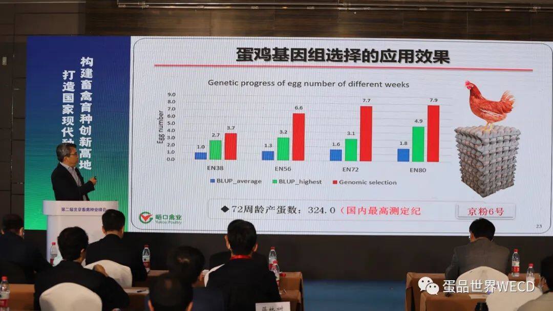 峪口禽业京粉6号项目获教育部科学技术进步奖一等奖，另有6万羽存栏育种场近日开建