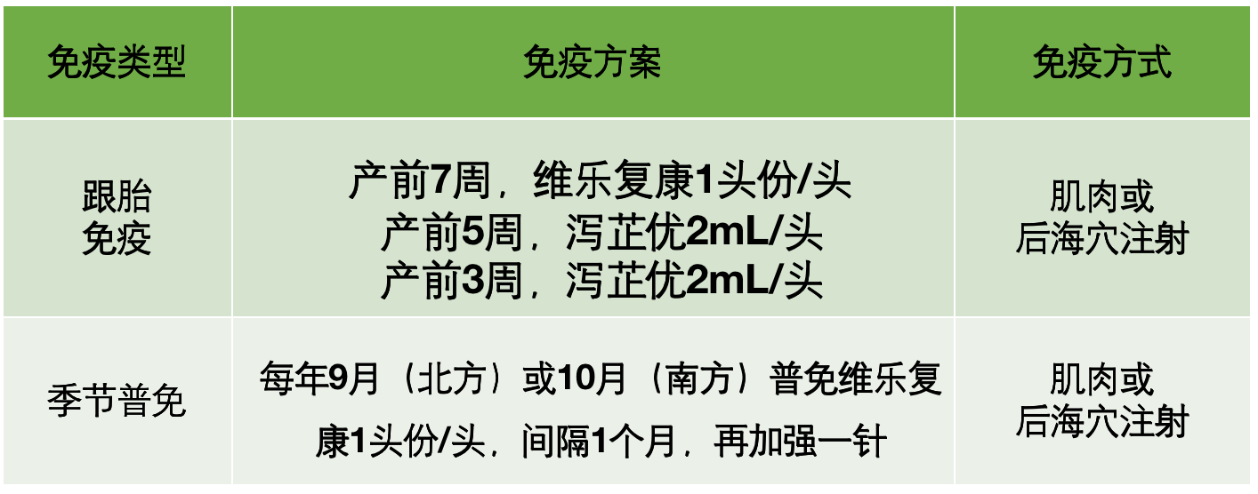 圆梦无泻，点到“维”“芷”，瑞普生物腹泻综合防控方案发布