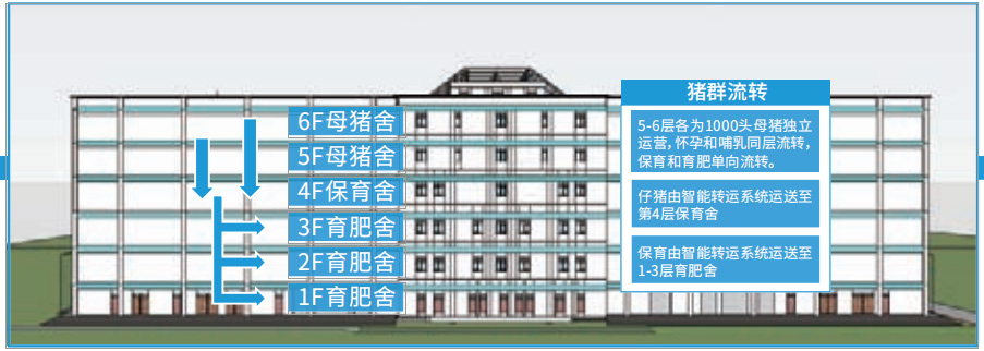 【研究报告】盘点：楼房猪场4类生产工艺布局及典型案例项目