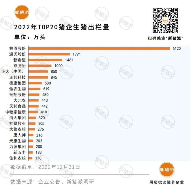 猪企竞争力PK:力源头均盈利最高600元,温氏人效最高人均出栏541头+124万产值【勃林格特约·猪业视野】