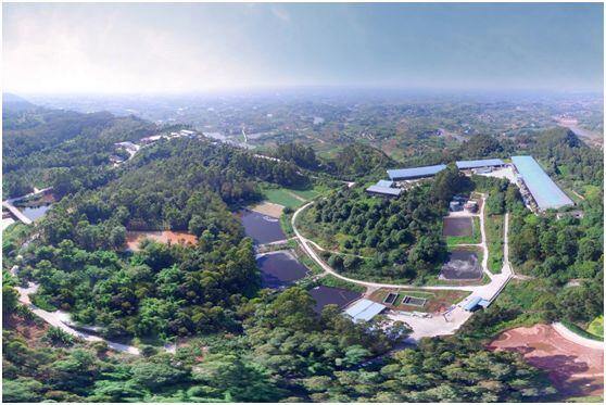 德康三度冲击港股上市!4年时间家庭农场模式达成生猪出栏1700万头