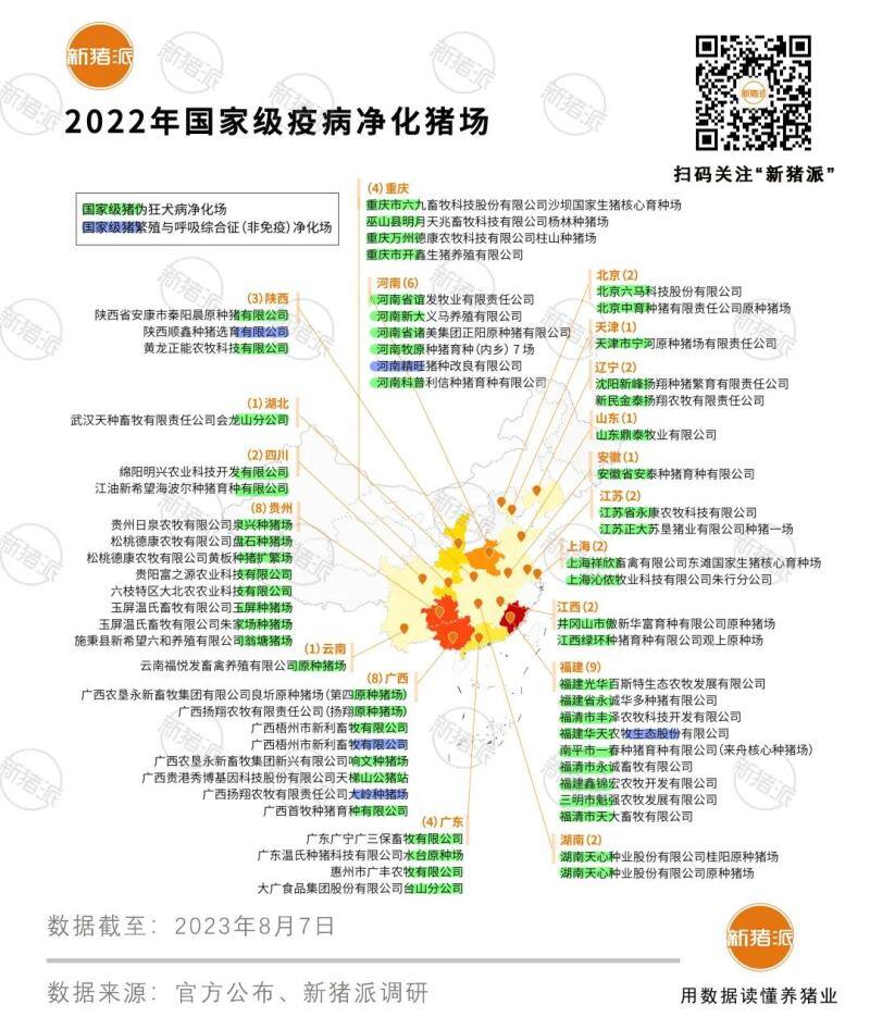 41万头种猪净化！中芯种业、加大、广西农垦等全国100多家猪场实现蓝耳双阴