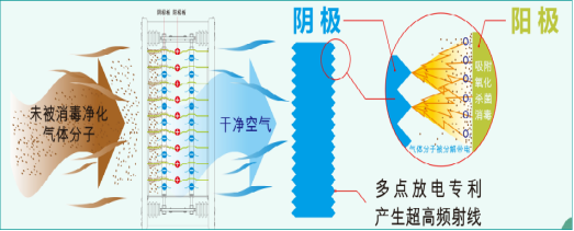 【环控改造】猪场如何更好地改善舍内通风？