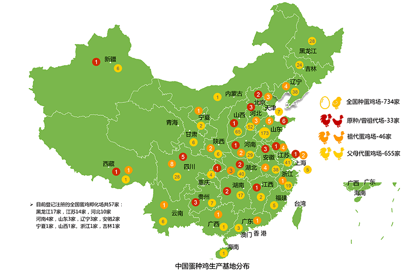 朱庆：国产蛋鸡种业竞争力持续提升，但仍有6大问题亟待解决|2023品牌蛋高峰论坛