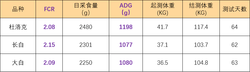 畜牧业首家半年报出炉：禾丰股份营收167亿，出栏生猪53万头【正典特约·巨头周事】