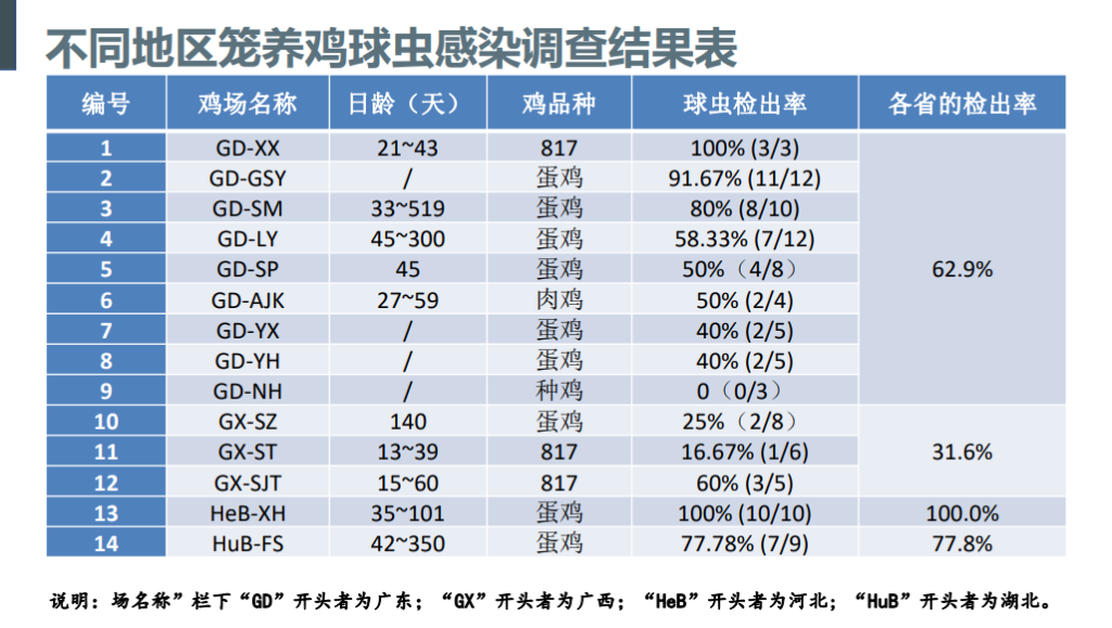 邵长军：细节决定成败！蛋鸡无抗需从鸡苗、营养、管理等多方位共同打造