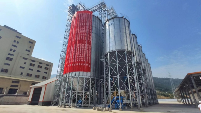 牧原7月成本降至7.15元/斤!新希望8.15!秦英林:创新才能带来利润的新增长点【正典特约·巨头周事】