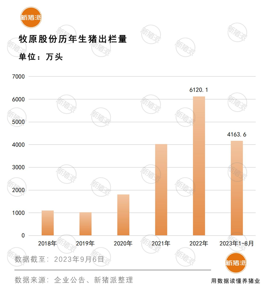 8月养猪盈利或超10亿！猪价维持8元/斤，牧原有望2个月内扭亏【正典特约·巨头周事】