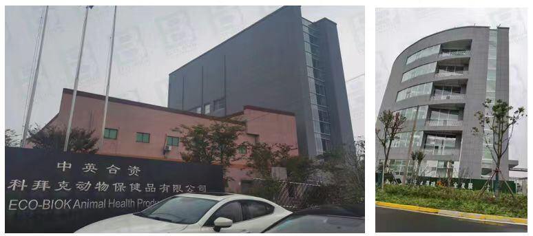 【伊科拜克】与您相约 第四届(2023)新猪派养猪产业峰会