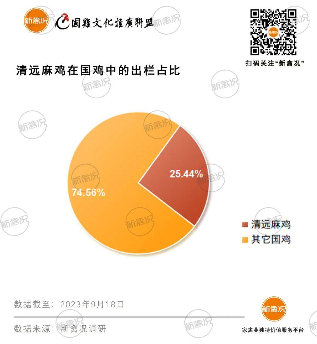 清远鸡:年出栏2.5-3亿只!超70%来自清远、开平、肇庆,深受广东市场认可【2023国鸡侣行·产销调研】