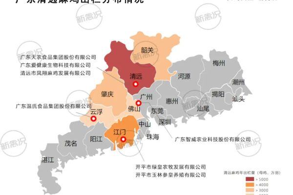 清远鸡：年出栏2.5-3亿只！超70%来自清远、开平、肇庆，深受广东市场认可【2023国鸡侣行·产销调研】
