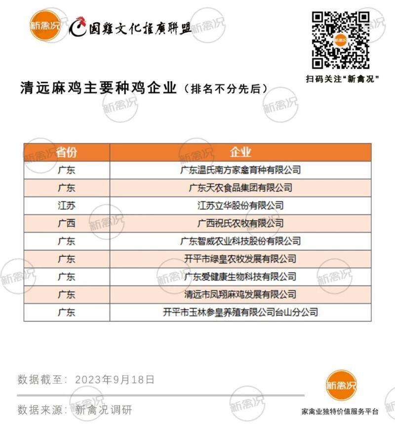 清远鸡:年出栏2.5-3亿只!超70%来自清远、开平、肇庆,深受广东市场认可【2023国鸡侣行·产销调研】