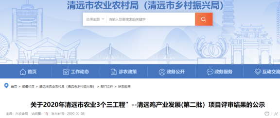 清远鸡:年出栏2.5-3亿只!超70%来自清远、开平、肇庆,深受广东市场认可【2023国鸡侣行·产销调研】