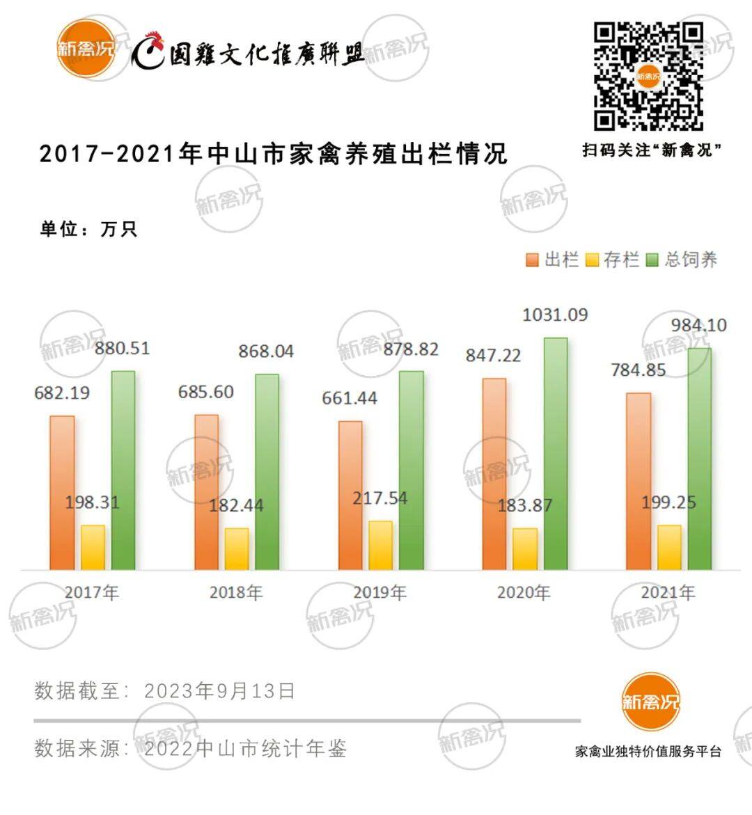 中山市：年消费7300万家禽！国鸡市场份额过半，80%以活禽形式流通【2023国鸡侣行·产销调研】