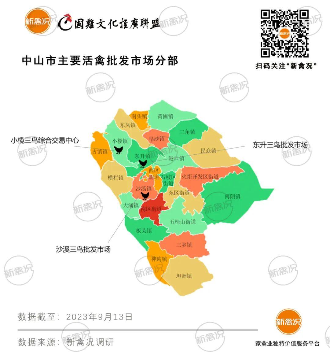 中山市：年消费7300万家禽！国鸡市场份额过半，80%以活禽形式流通【2023国鸡侣行·产销调研】