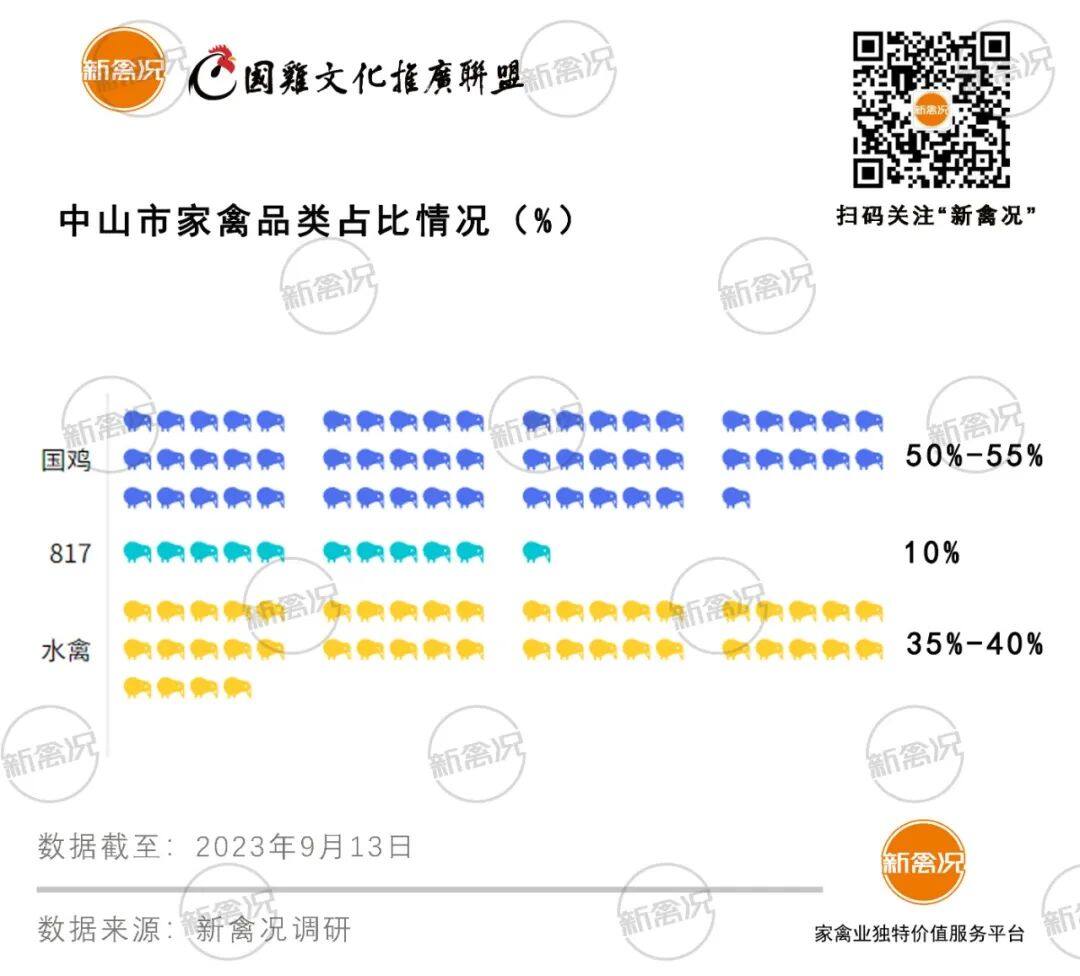 中山市：年消费7300万家禽！国鸡市场份额过半，80%以活禽形式流通【2023国鸡侣行·产销调研】