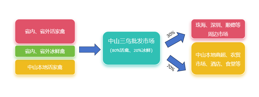 中山市：年消费7300万家禽！国鸡市场份额过半，80%以活禽形式流通【2023国鸡侣行·产销调研】