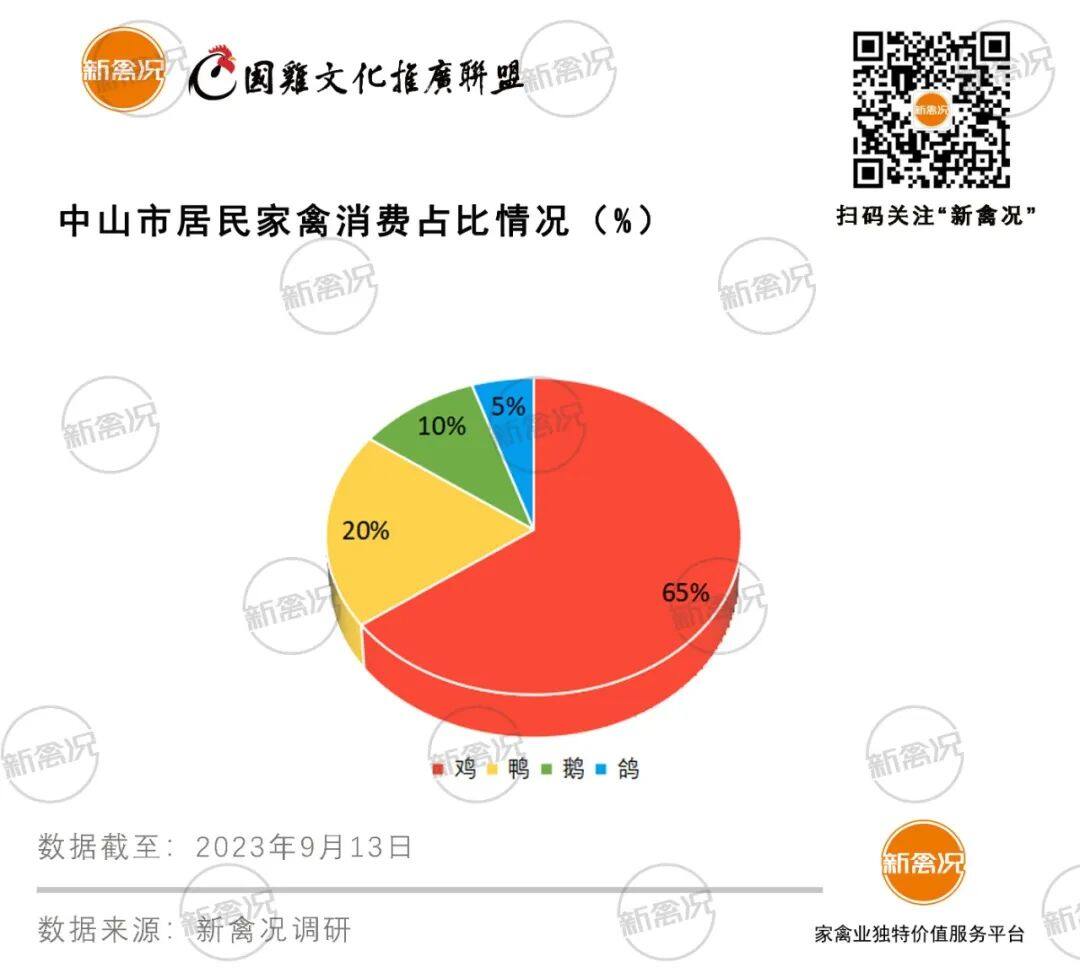 中山市：年消费7300万家禽！国鸡市场份额过半，80%以活禽形式流通【2023国鸡侣行·产销调研】