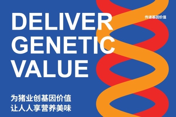 中芯种业诚聘销售精英，多地招销售代表和区域代理