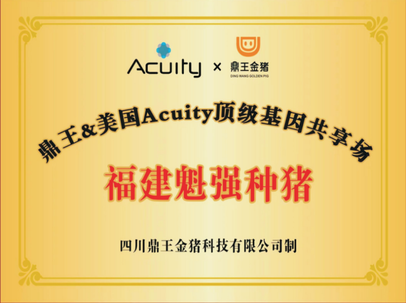 魁强农牧:专注培育适合中国的好种猪 年热销新美系种猪2万头