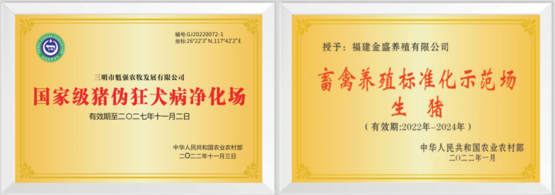 魁强农牧:专注培育适合中国的好种猪 年热销新美系种猪2万头