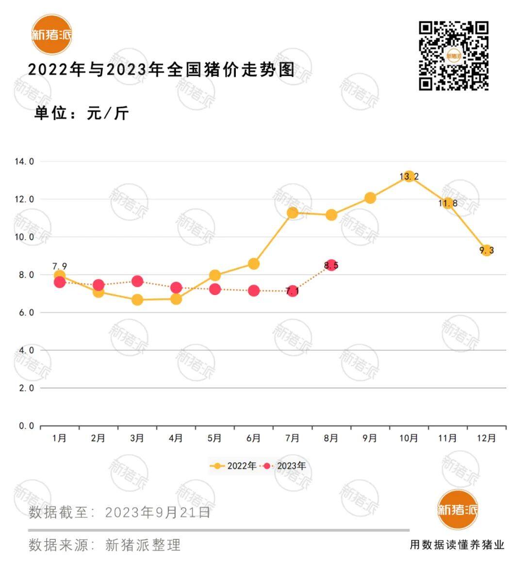 7.5元即可盈利！仔猪价格跌破成本线180元/头依然滞销，看跌明年一季度猪价