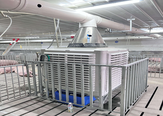 离风机15米闻不到臭味？这种猪场除臭方案值得收藏，已在广东、湖南落地