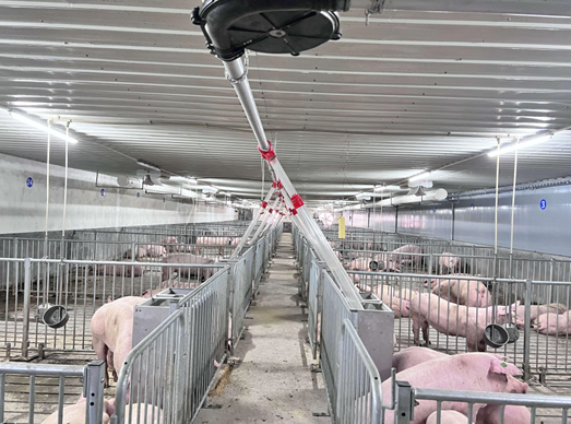 离风机15米闻不到臭味？这种猪场除臭方案值得收藏，已在广东、湖南落地