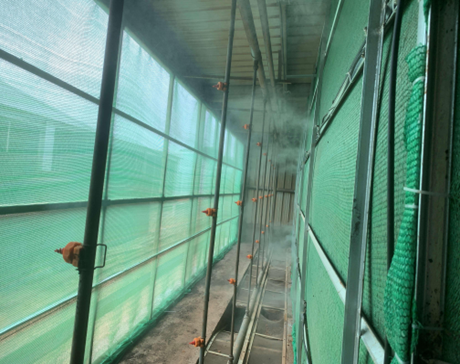 离风机15米闻不到臭味？这种猪场除臭方案值得收藏，已在广东、湖南落地