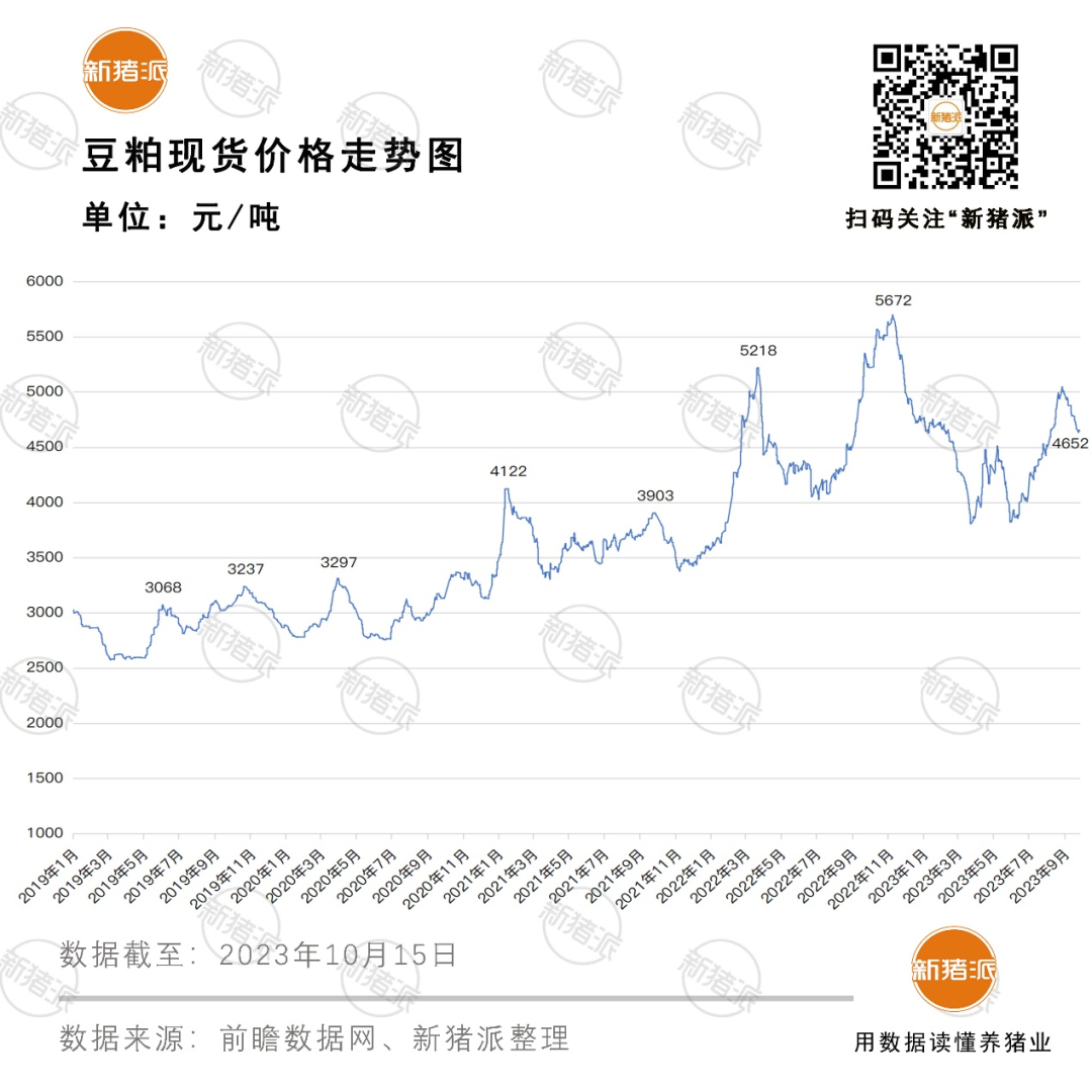 猪价创8月以来新低，豆粕价格4年暴涨72%，养猪人的日子为何总是这么难过？