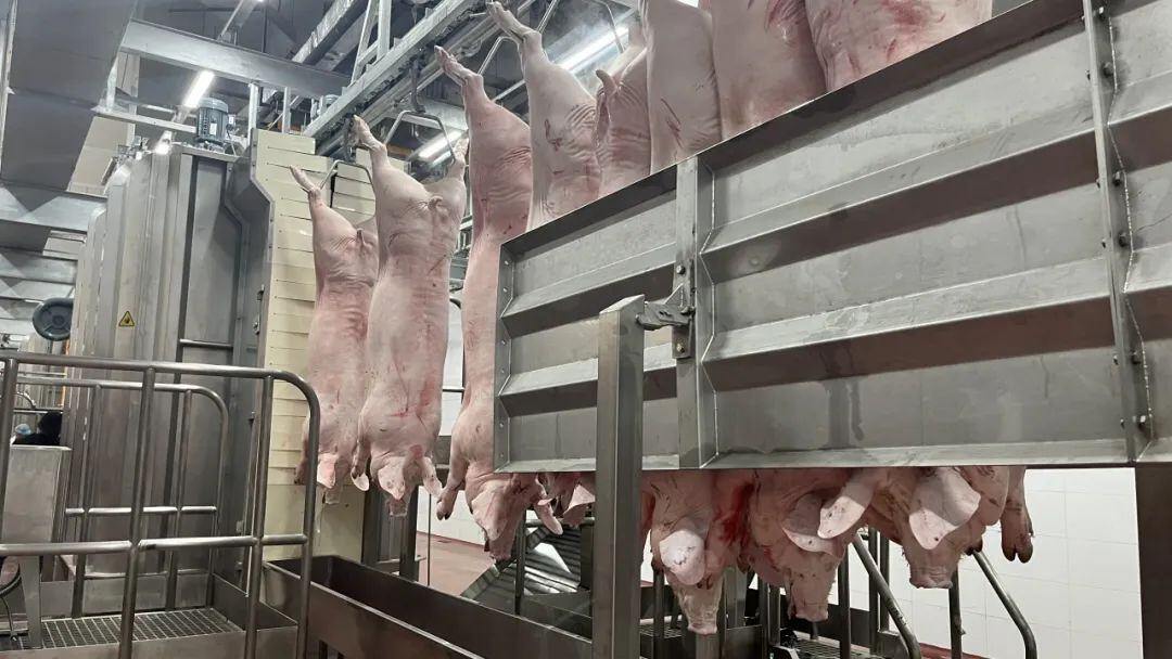 德康集团年300万头生猪屠宰肉食品精深加工及冷链项目顺利投产