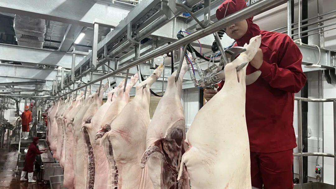 德康集团年300万头生猪屠宰肉食品精深加工及冷链项目顺利投产