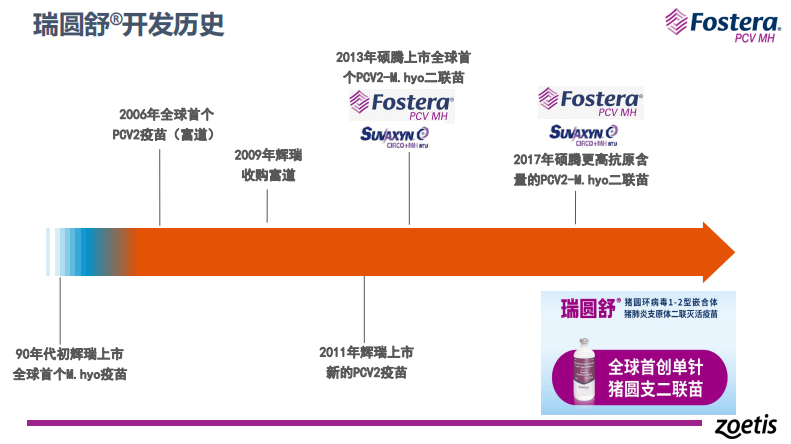 苑麟勇：PCV、MH二联苗一针双防，头均增加经济效益98.92元|2023新猪派养猪产业峰会