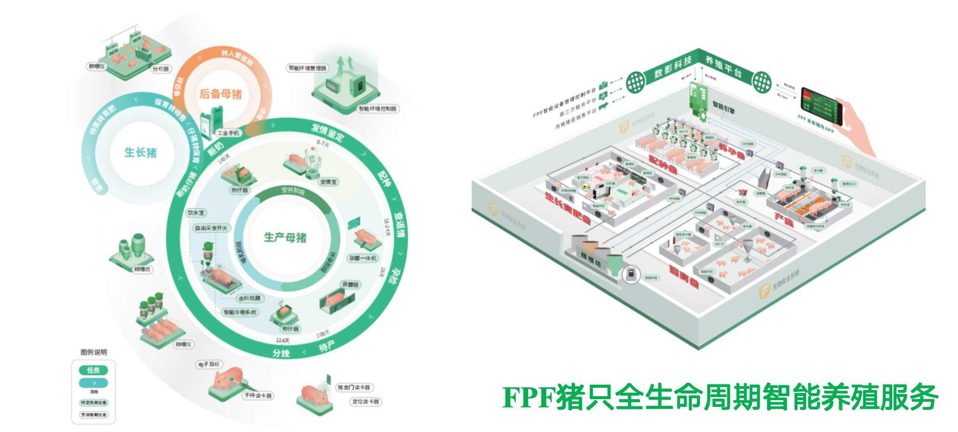 刘向东：数智化猪场稳定高效运行，扬翔PSY已达28.31、MSY已达25.73|2023新猪派养猪产业峰会