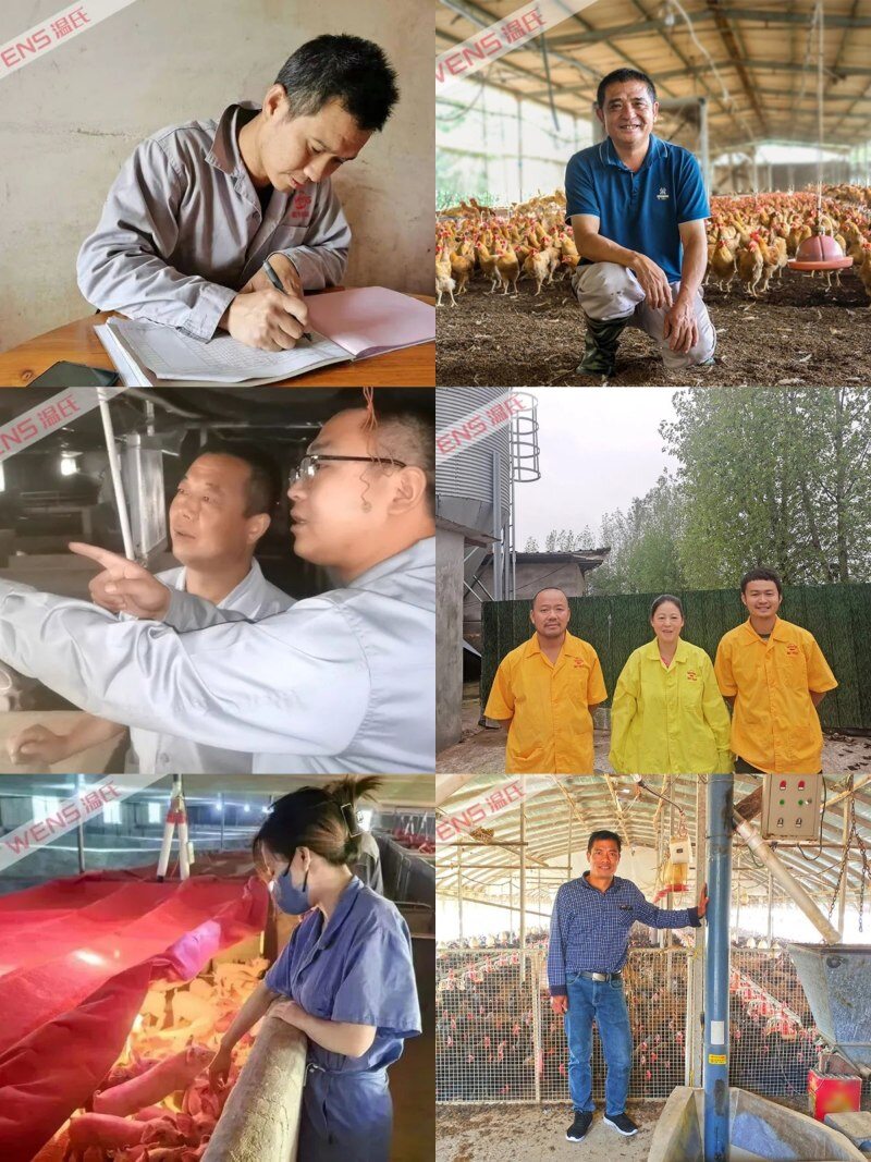 温氏成功的核心驱动力！“公司+农户”模式将做五大变革 | 2023新猪派养猪产业峰会