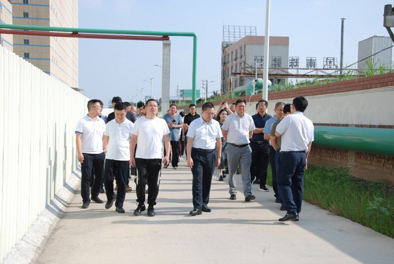 10位专家主题报告为猪业切脉,6位嘉宾谈破局犀利辣评!新猪派养猪产业峰会首日精彩不断